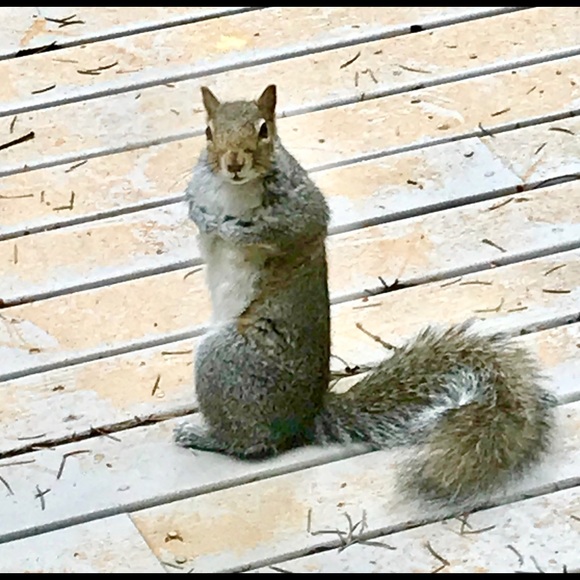 Meet Your Posher - Picture 6 of 6